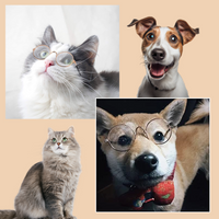 Eye-Catching Pet Accessories - PetShades™ Glasses for Fashionable Pets.