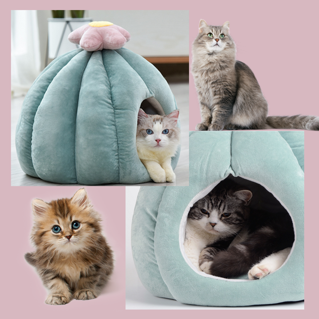 "Unique Cactus Cat Bed: Eye-catching design with supreme coziness"