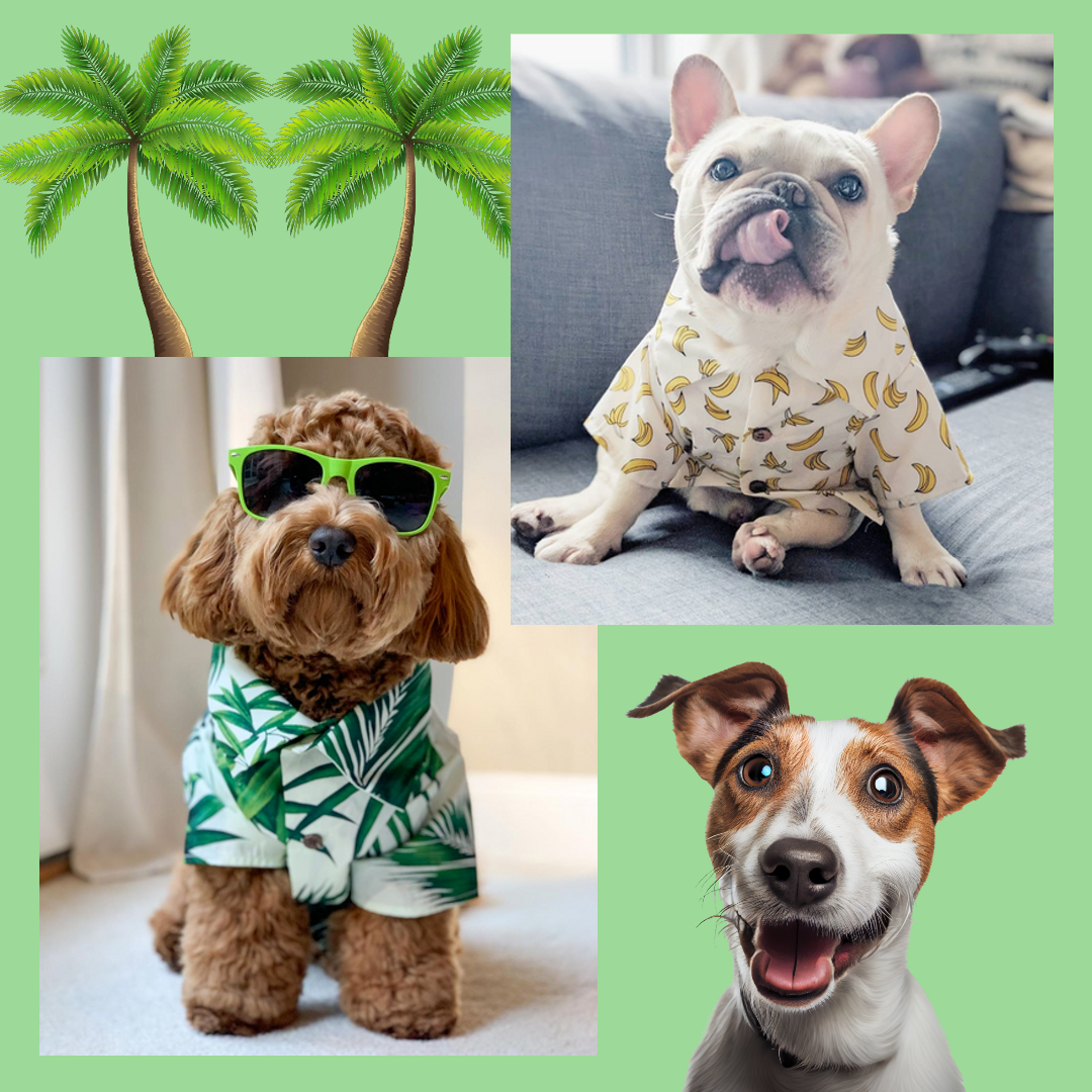 "Stylish Hawaiian-inspired dog shirt for spring - SpringPaws™ Aloha Shirt"