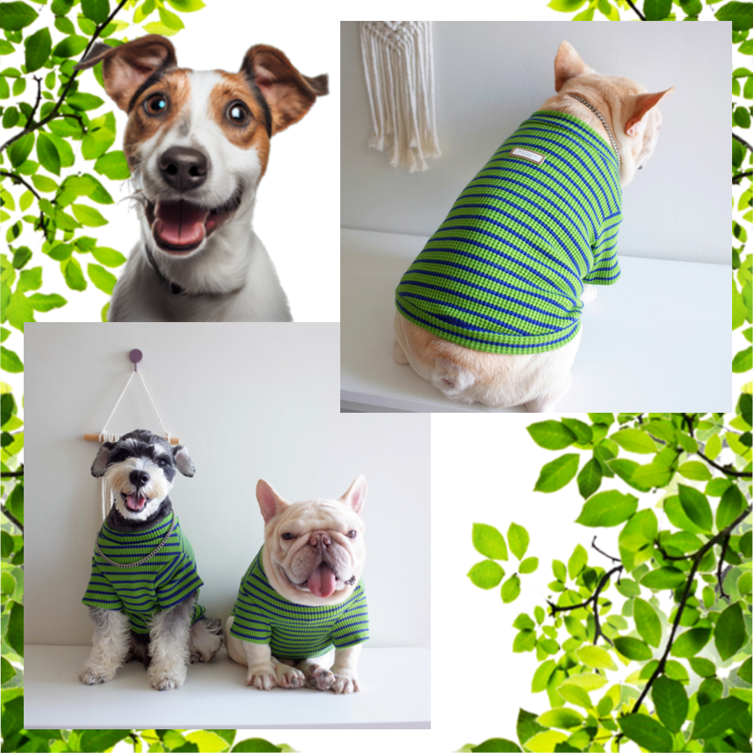 "Stylish Green and Blue Dog Waffle Stripe Shirt - Comfortable and Trendy Pet Apparel"