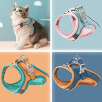 Safe and Comfortable GloCat Harness - Ideal for Outdoor Adventures.