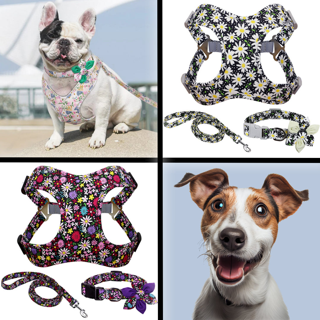 Flower Paws Harmony Set - Stylish Floral Dog Collar, Harness, and Leash for Comfortable Walks