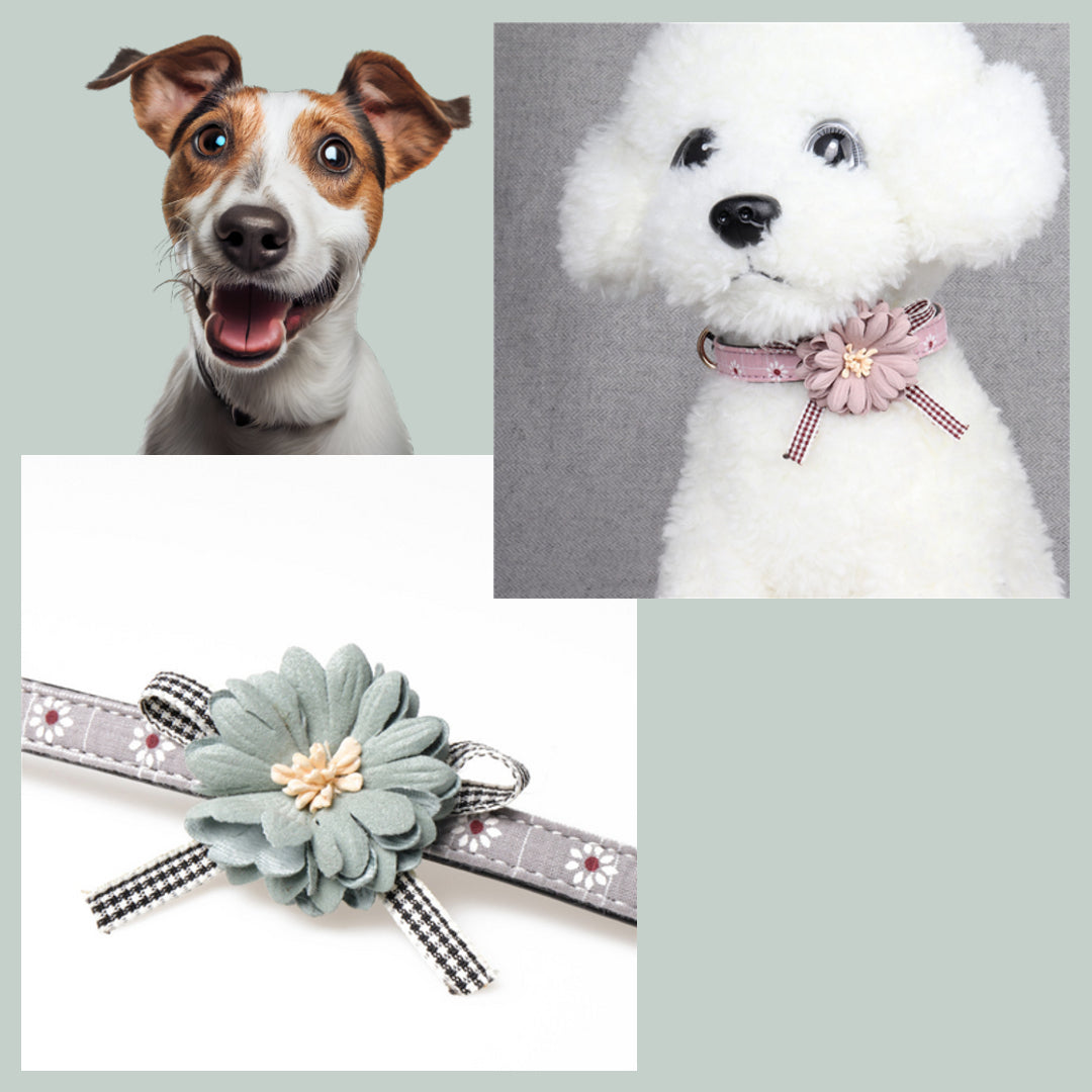 PetalPaws™ Collar - Stylish and Comfortable Small Dog and Cat Collar with Flower Design