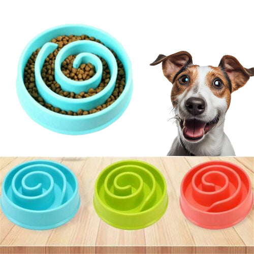 FlowGuard™Pet Bowl - Anti-Choke Design for Safe Feeding.