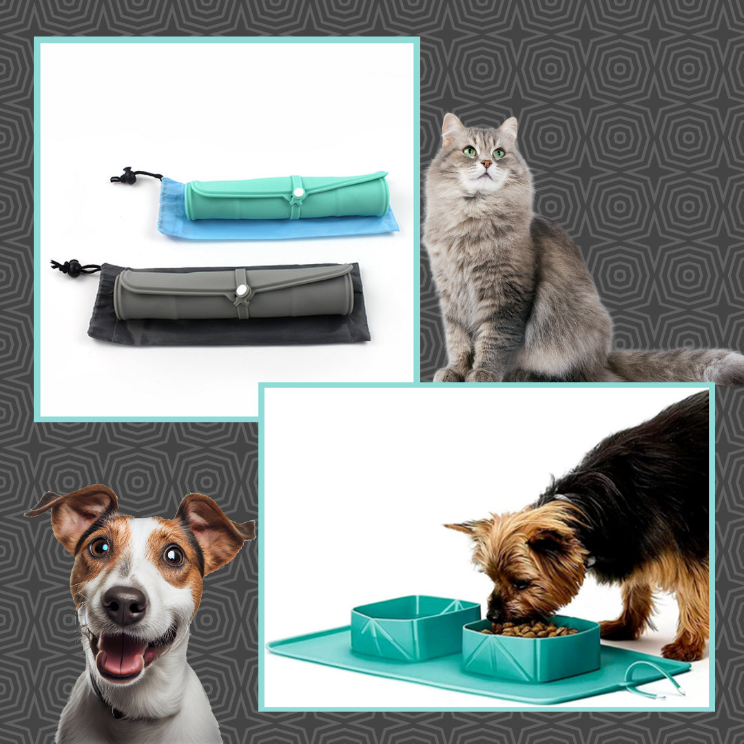 Collapsible dog and cat bowl: FlexiPaws™ Bowl - Travel-friendly pet feeding solution.