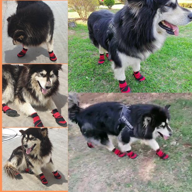 Waterproof Pet Boots for Medium to Large Dogs - Labrador Husky Warm Dog Shoes with Rugged Anti-Slip Sole - 3 Colors