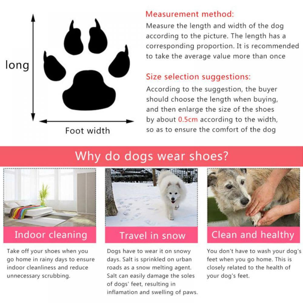 "StarPaws Canvas Kicks: Breathable, Cute Dog Shoes with Stars for Outdoor Adventures - Durable Canvas Material