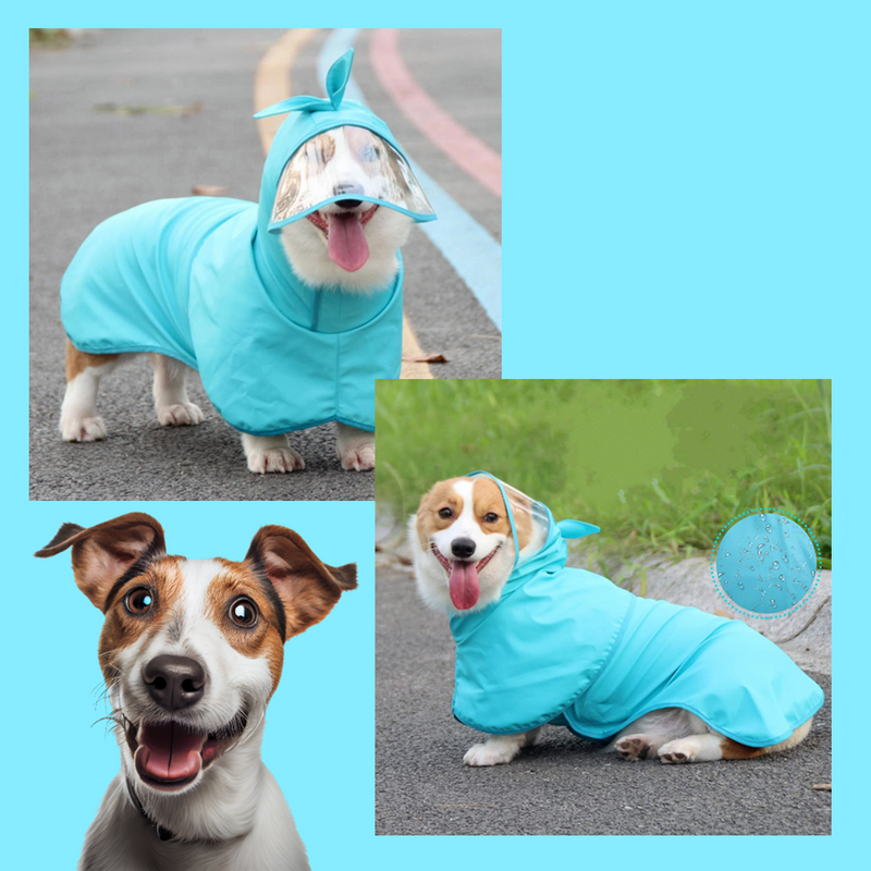 Upgrade Your Dog's Rain Gear with RainPup™ Dog Raincoat - Order Now!