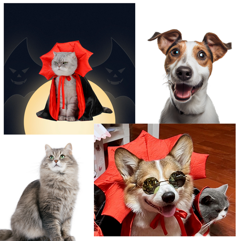 Halloween Pet Costume - Transform Your Pet into a Vampire.