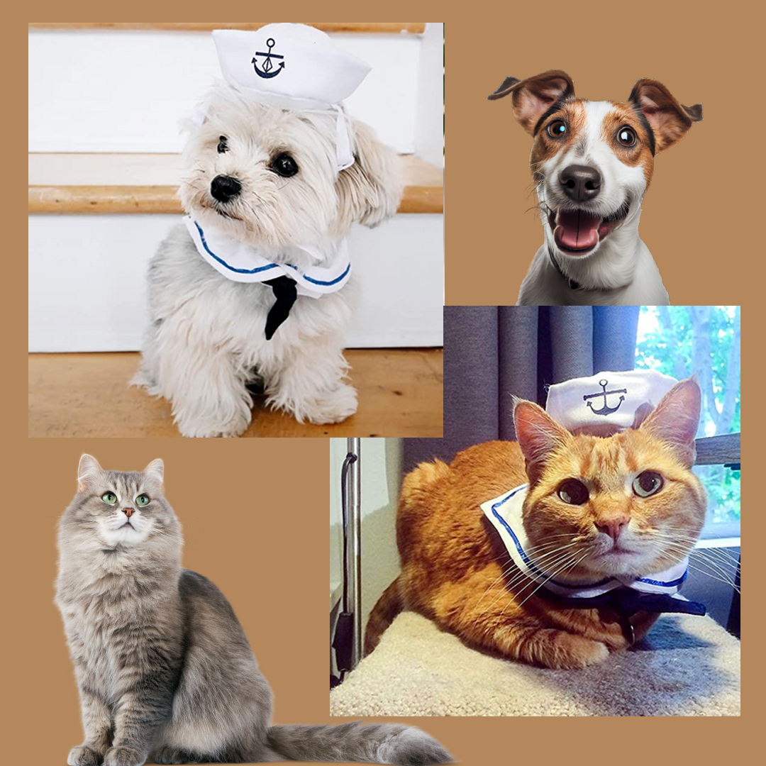 Transform Your Pet into a Cute Sailor with SailorPaws™.