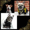 CozyStripe PetHoodie: Stylish & Warm Dog Hoodie for Small Breeds - Soft Fleece, Sleeveless Design, Fashionable & Comfortable