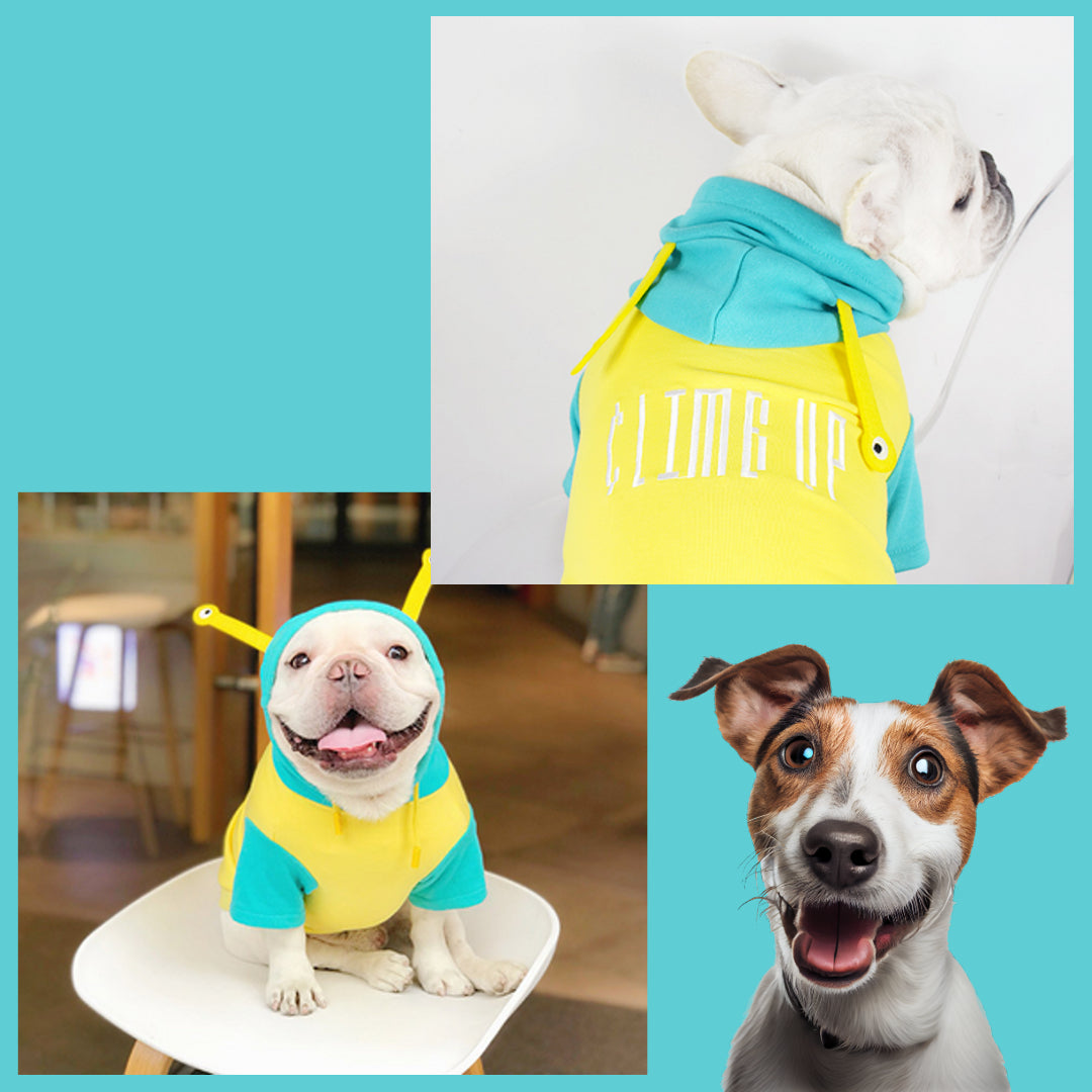 Alien-Themed Pet Hoodie - Elevate your pet's wardrobe.