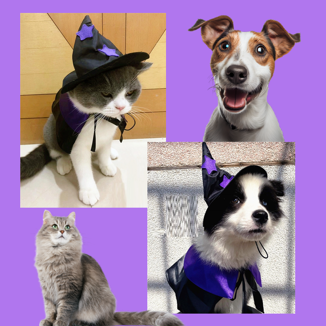 "Halloween Wizard Dress-up Set for Pets - Cape and Hat Combo"