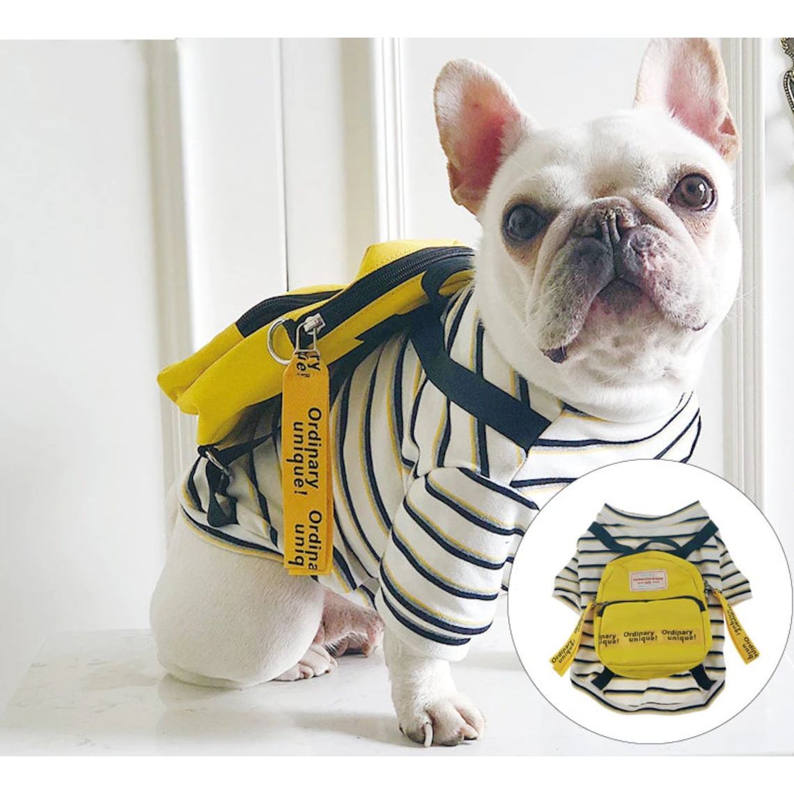 FrenchPup™ Fashion Kit: Striped T-Shirt, Dog Sweater, Jacket, Yellow Backpack for French Bulldogs & Small Dogs