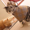 PawSleuth Pet Detective Ensemble - Adorable outfits for pets - Sherlock Holmes inspired dog and cat costumes