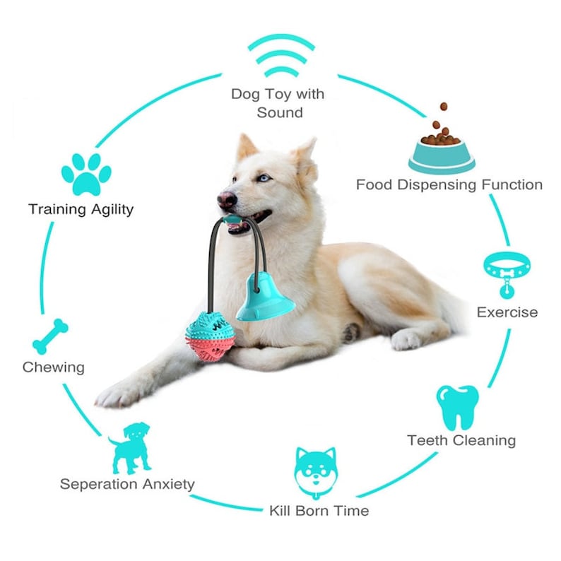 PawPlay SuctionTug Dog Toy - Interactive Rubber Chew Toy with Suction Cup for Teeth Cleaning and Anxiety Relief"