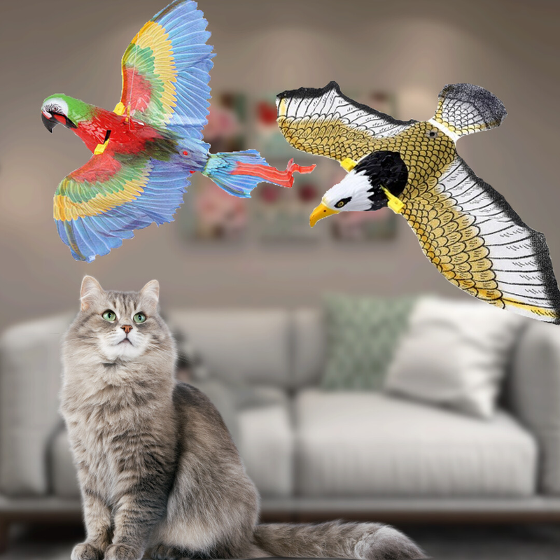 Interactive bird cat toy for endless playtime joy - engage your pet's hunting instincts!