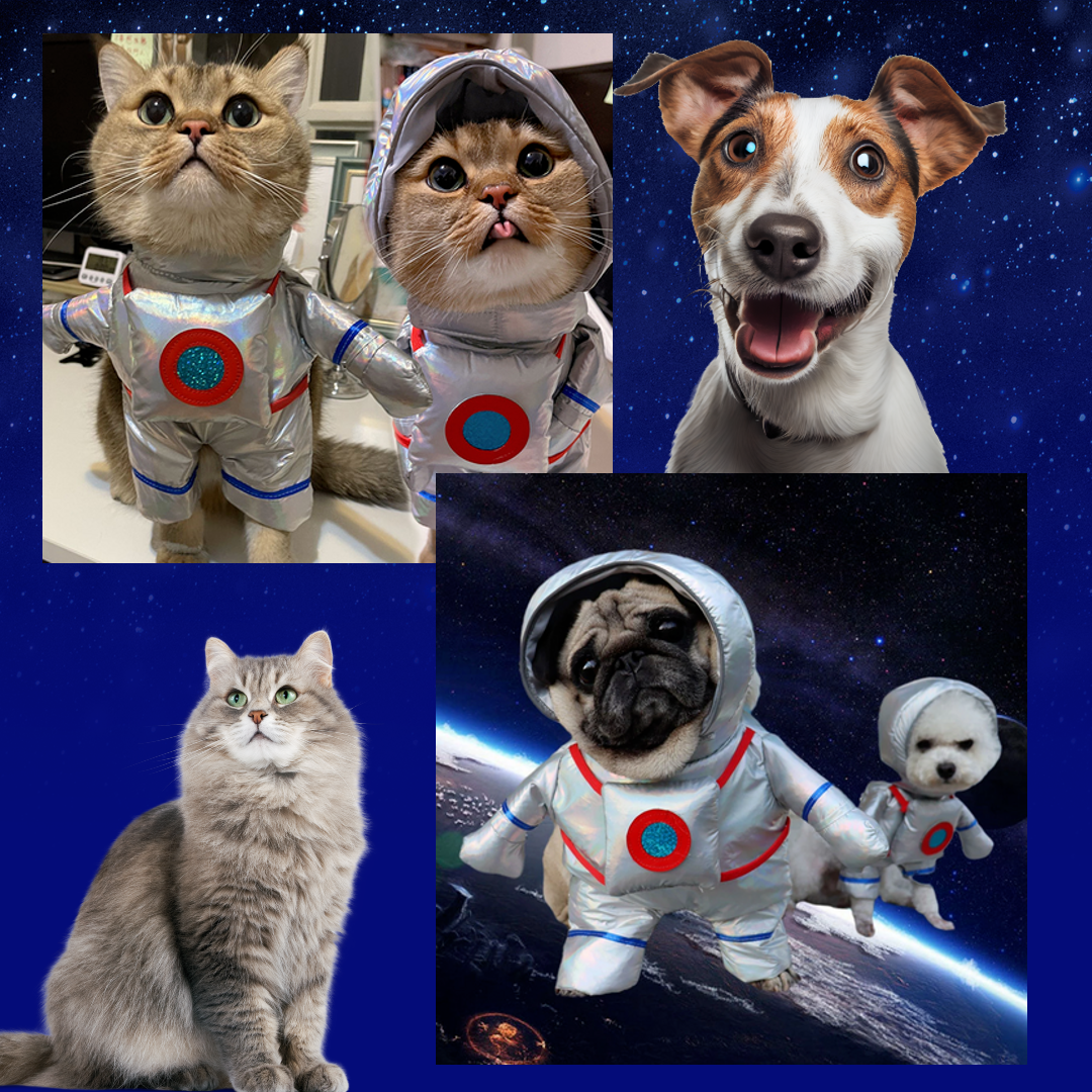 Stylish and Trendy Astro-Doggy™ Suit - Transform Your Pet into an Interstellar Fashion Icon.