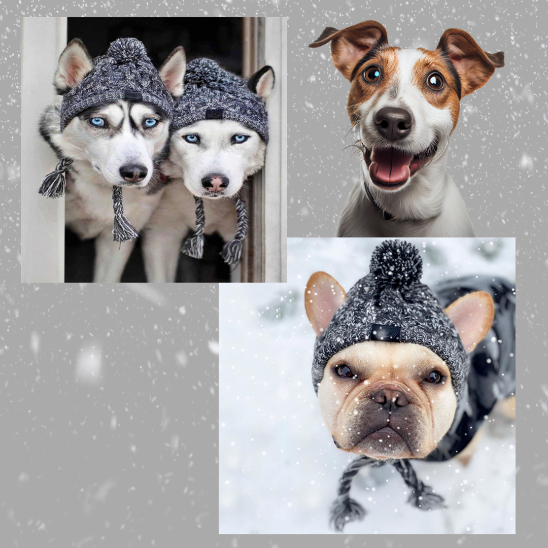 Shop the Pup-Cozy™ Beanie: Perfect Winter Accessory for Dogs.