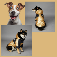 PawsGuard™ CanineShield: Waterproof and Windproof Dog Coat for Dogs - Stylish Dog Face Jacket Design - Sizes for All Breeds