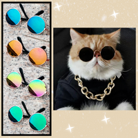 Stylish Pet Sunglasses - Protect Your Pet's Eyes in Style!