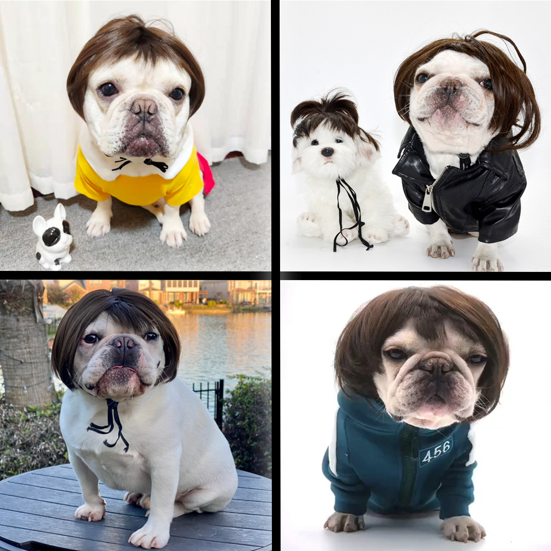 Fun and trendy pet wig to express your pet's unique personality