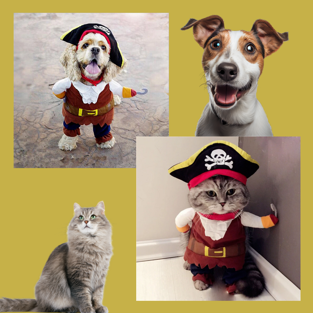 Adorable Pet Pirate Clothes - PiratePooch™ Suit.