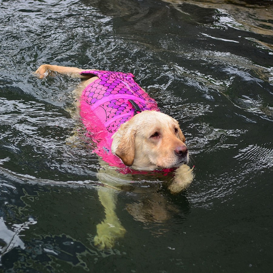 Ensure your pet's safety with the Sharkmaid™ Pet Life Jacket - a must-have for water adventures!