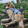 Trendy and reliable Sharkmaid™ Pet Life Jacket - enjoy water sports with peace of mind!