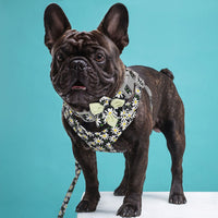 Flower Paws Harmony Set - Stylish Floral Dog Collar, Harness, and Leash for Comfortable Walks