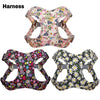 Flower Paws Harmony Set - Stylish Floral Dog Collar, Harness, and Leash for Comfortable Walks