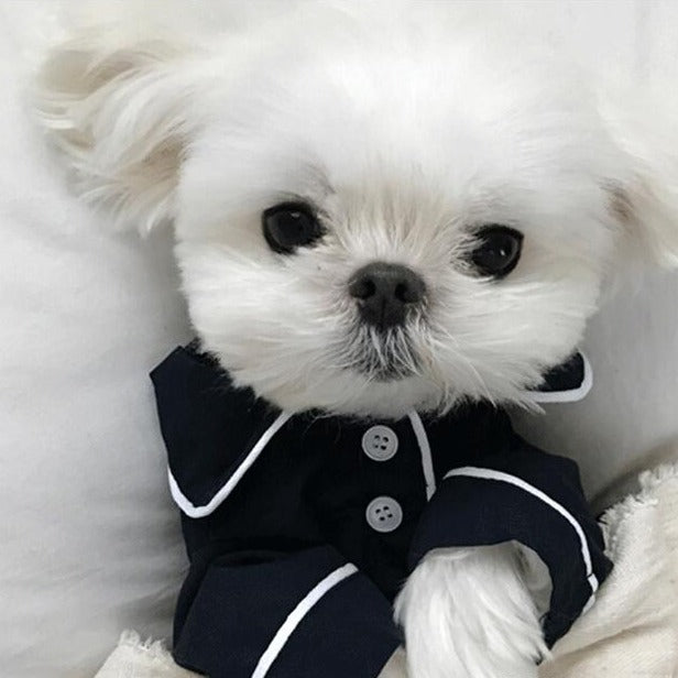 Stylish Pet Pajamas: PawSilk Dreams™ Collection - Shop Now!