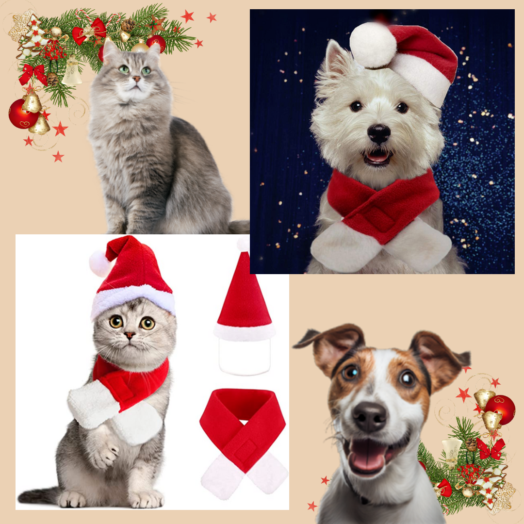 SantaPaws™ Set: Festive Pet Attire.