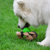 Quality interactive plush toy with teeth-cleaning benefits - PawPals™ Squeak Chew Plush.