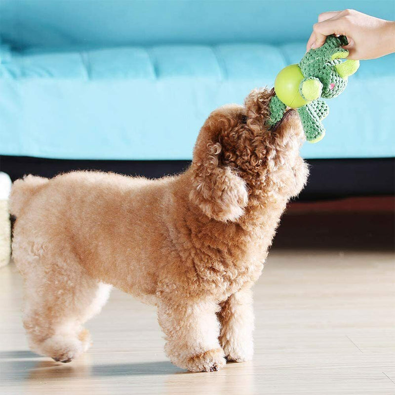 Quality interactive plush toy with teeth-cleaning benefits - PawPals™ Squeak Chew Plush.