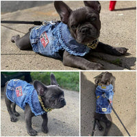 Pawsome Pet Denim Chic Vest - Stylish clothing for Pets Distressed denim with eye-catching patches. Machine washable.