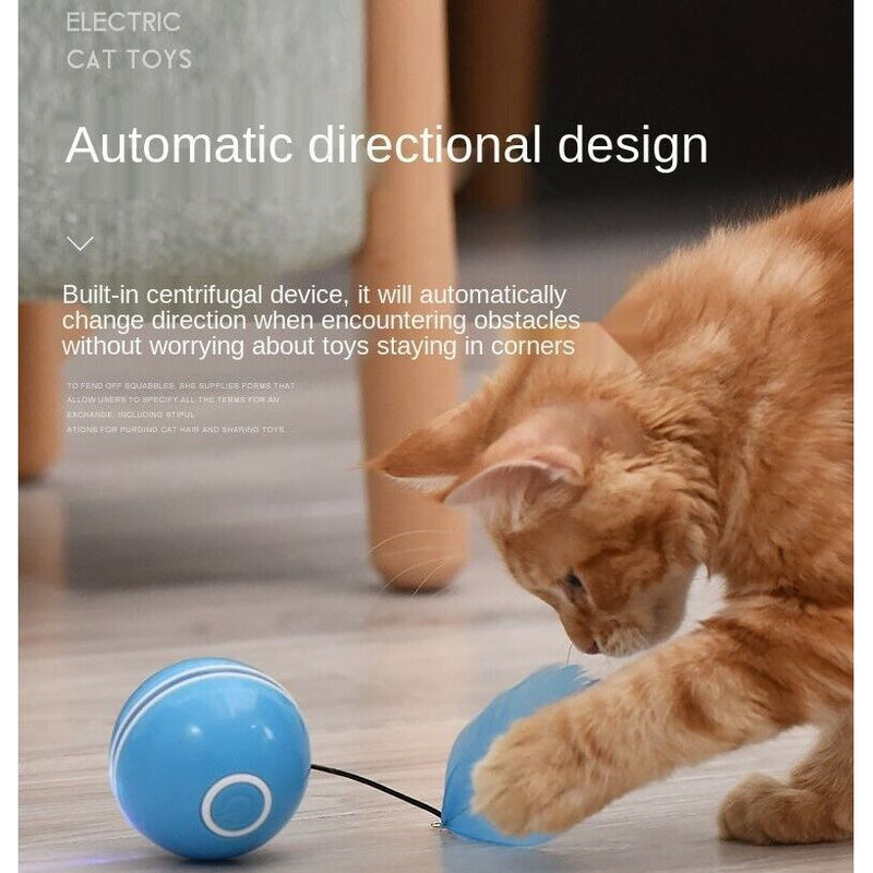 GlowPaw Interactive Pet LED Ball - Engaging toy  LED lights and auto-rolling for cats and small dogs Rechargeable durable.