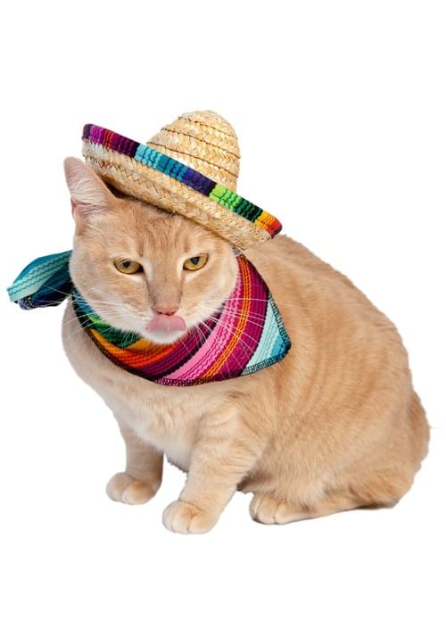 Pet Mexican Sombreros - Trendy and Cute!