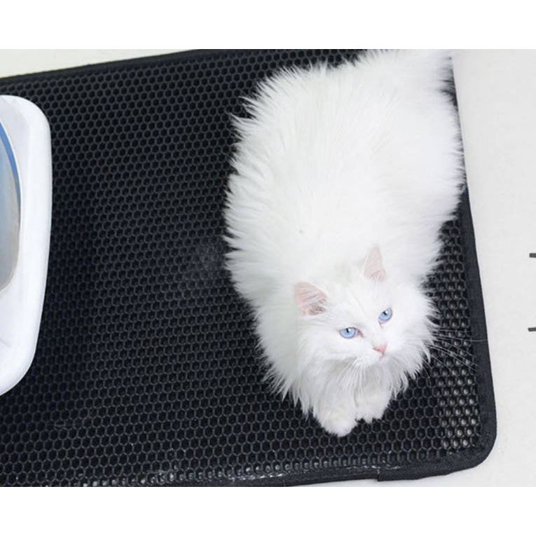 CleanCatch Cat Mat: Waterproof, Durable EVA Double-Layer Design - Minimizes Litter Scatter - Easy to Clean - Pet-Friendly