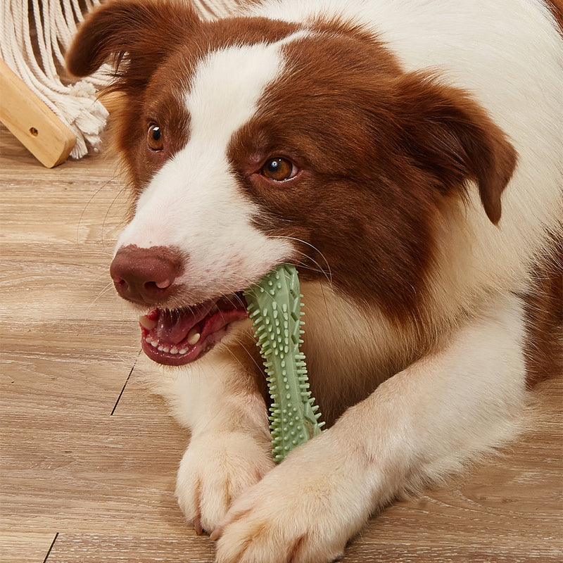 PupClean™ DentalPlay - Interactive Dog Chew Toy with Toothbrush Bristles - Promotes Dental Hygiene & Playful Dental Care