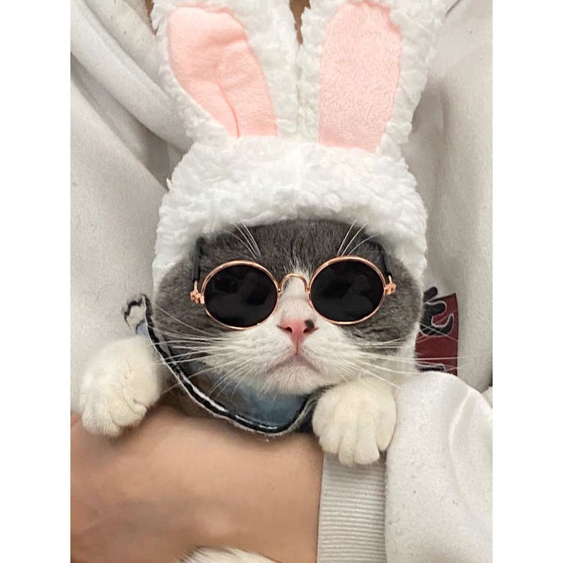 Stylish Pet Sunglasses - Protect Your Pet's Eyes in Style!