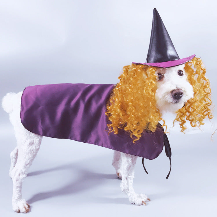 Pet Halloween Costume: MagiPaws™ Hat, Wig & Cloak Combo.