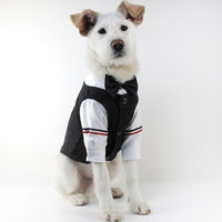 Dapper Dog Formal Wear: Stylish pet wedding attire and tuxedos for dogs | High-quality fabrics and exquisite craftsmanship