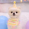 Dog Party Cake Bib and Hat Set - Fun and Cute Pet Birthday Party Accessories