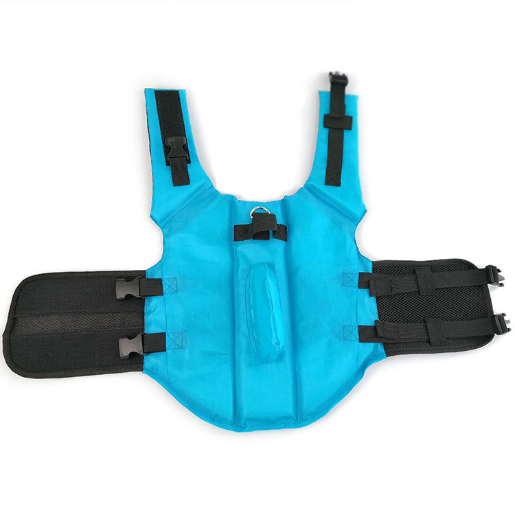 Fashionable Dog Life Jacket: AquaPaws™ SharkGuard for Stylish Water Adventures.