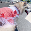 "PlaidPaws Couture Dog Dress - Gorgeous Red Plaid Tutu Princess Skirt - Fashionable and Comfortable Pet Clothing