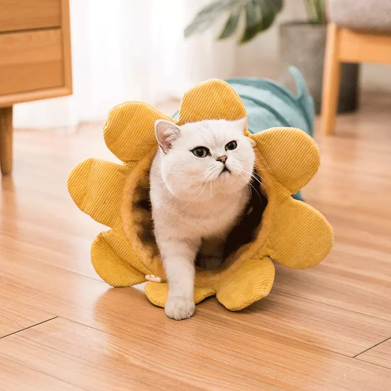 Cucatube Cozy-Collapse Tunnel: Interactive Cat Toy  Tube Bed in Vegetable Green Cucumber Shape - Plush Velvet Material