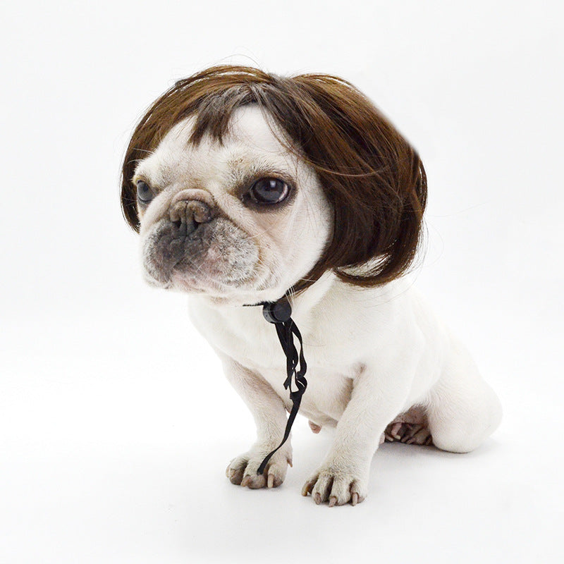 Fun and trendy pet wig to express your pet's unique personality