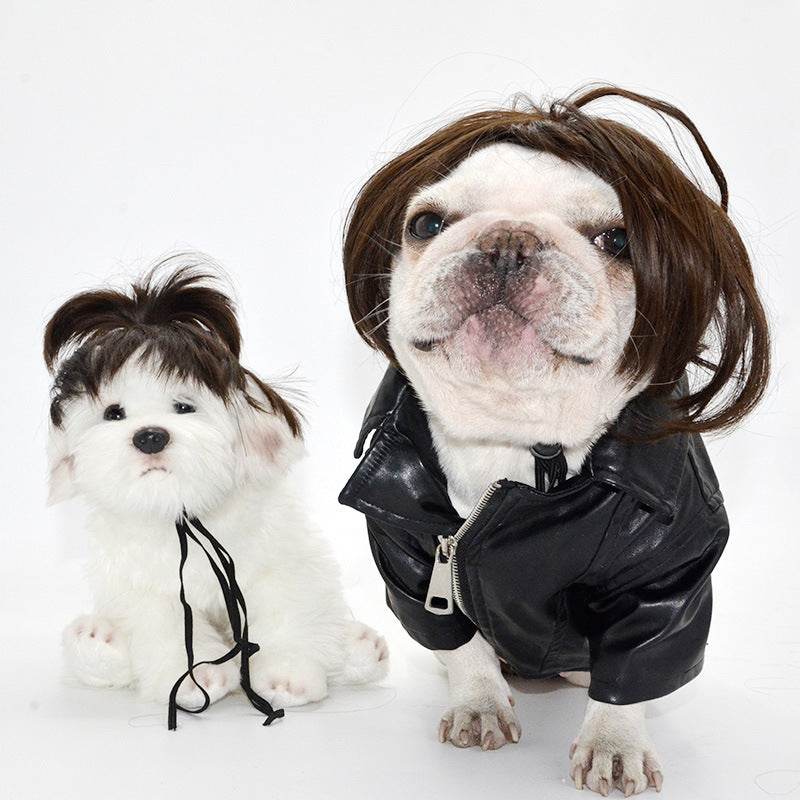 Fun and trendy pet wig to express your pet's unique personality