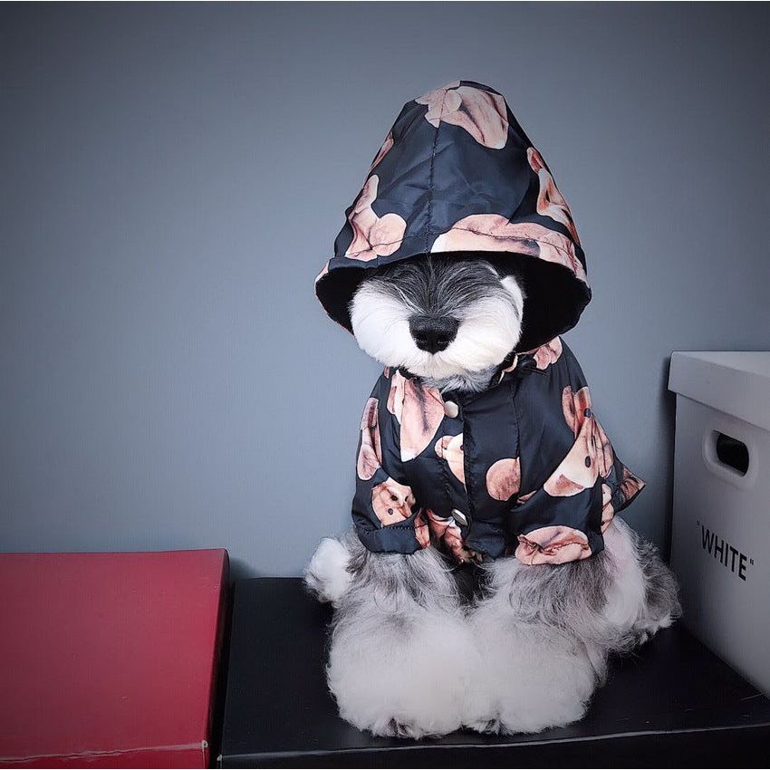 "Stylish BearGuard™ Raincoat - Keep Your Pet Dry and Fashionable"